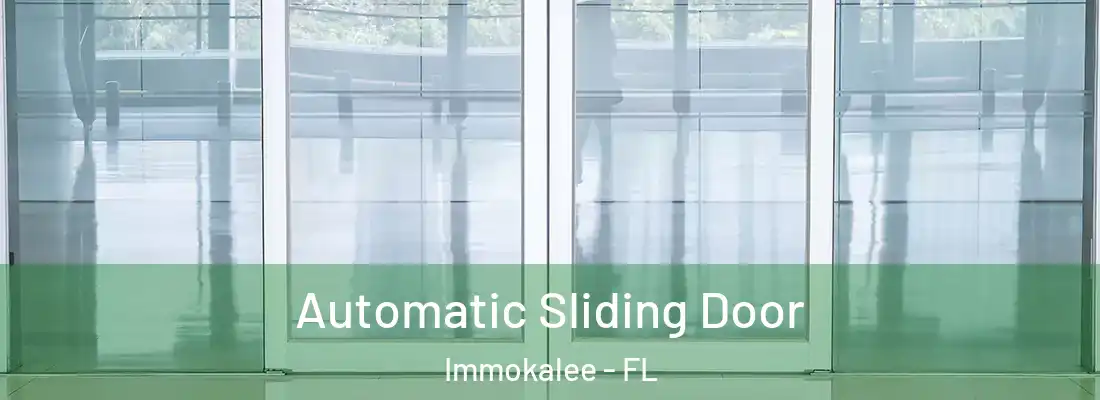 Automatic Sliding Door Immokalee - FL