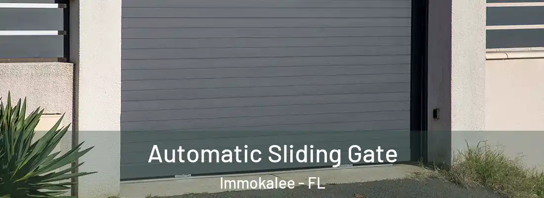  Automatic Sliding Gate Immokalee - FL