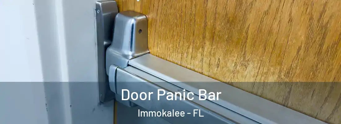 Door Panic Bar Immokalee - FL