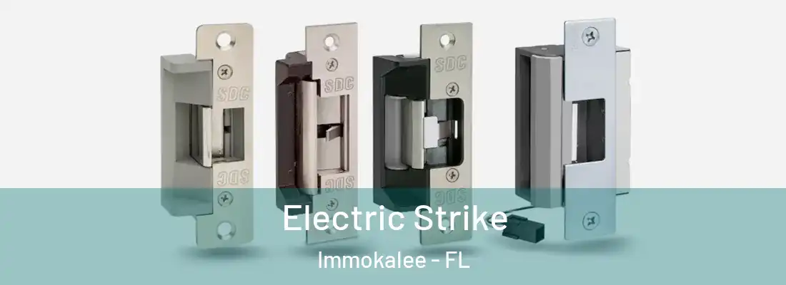  Electric Strike Immokalee - FL