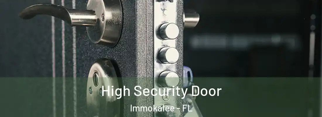 High Security Door Immokalee - FL