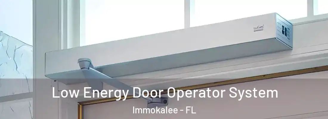 Low Energy Door Operator System Immokalee - FL
