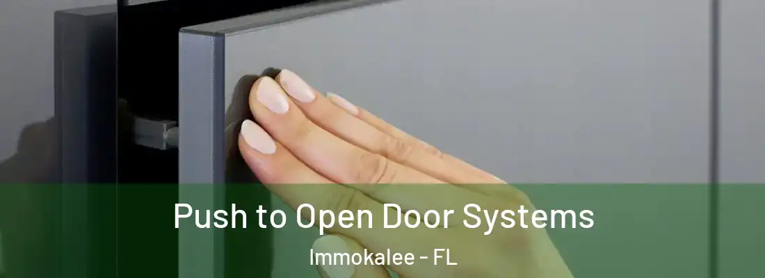  Push to Open Door Systems Immokalee - FL